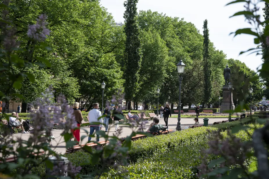 Ihmisiä Esplanadinpuistossa, etualla kukkiva syreeni.