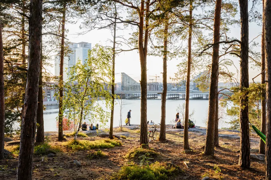 Ihmisiä kalliolla mäntyjen lomassa. Kaupungin silhuetti näkyy taustalla.