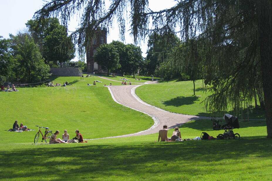 Groups of people sit in a green lawn with trees in the background.