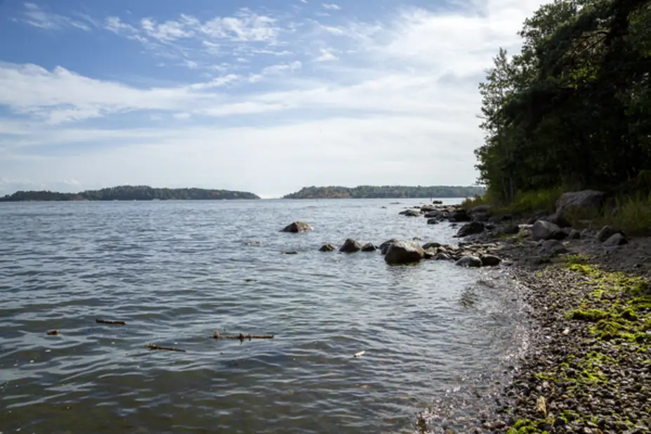 Kivikkoinen ranta Vasikkasaarella