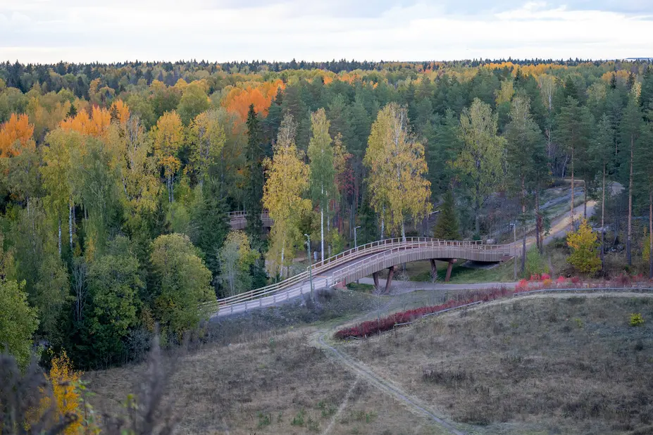 Paloheinän ulkoilualueen ulkoilureittien siltoja ja metsää. 