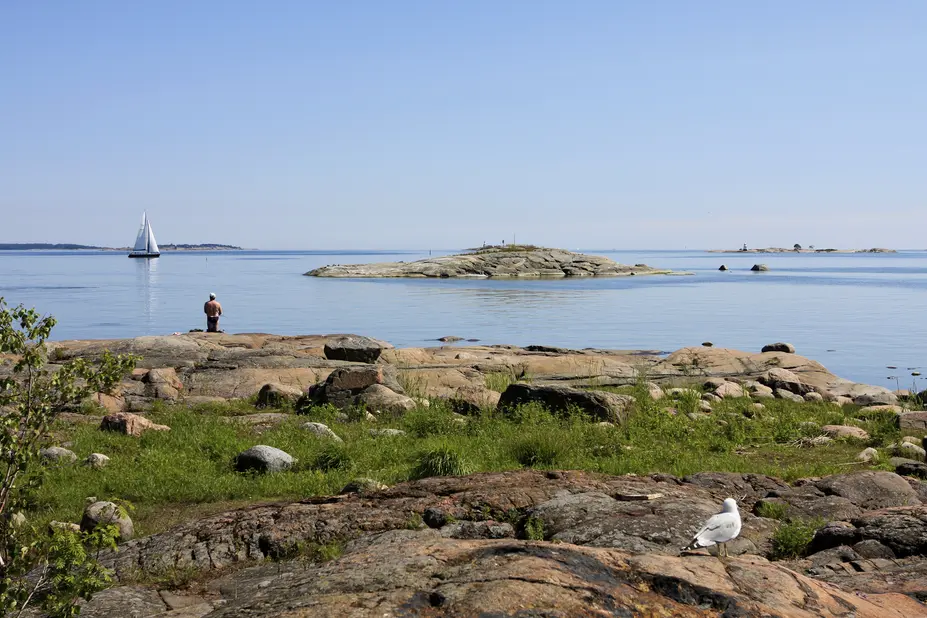 Pihlajasaaren kallioranta.