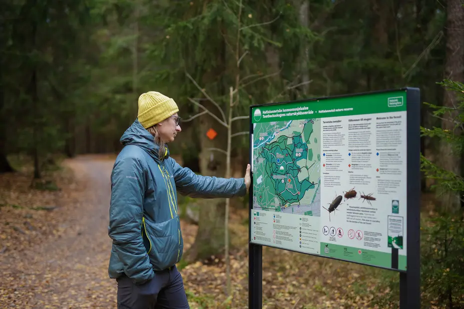 Mies katsoo Haltialanmetsän kartallista opastaulua