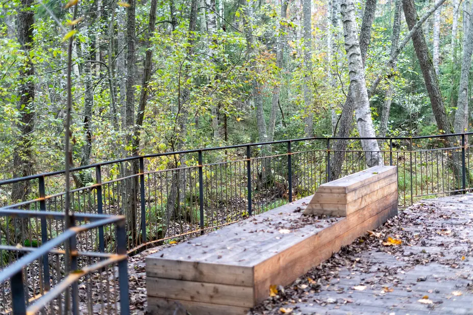 A bench in Stansvik mine area. 