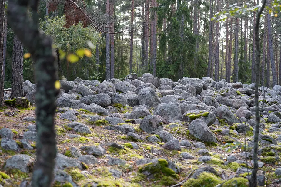 Muinasrantakivikko