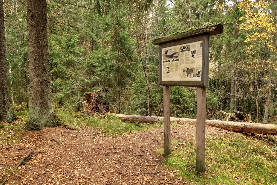 Opastaulu metsässä.