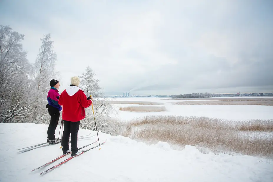 Två skidåkare tittar på den snöiga fågeln viken från toppen av klippan.