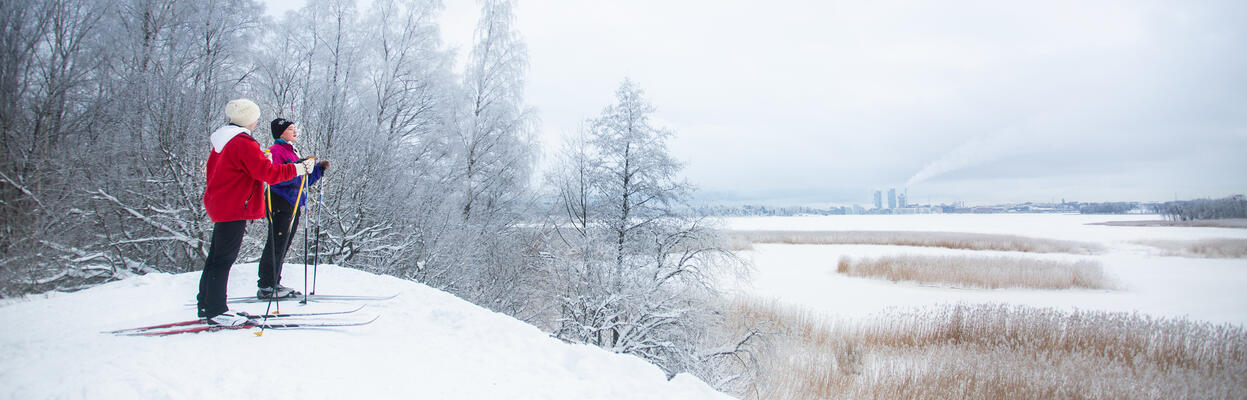 Two skiers are admiring the wintry seascape.