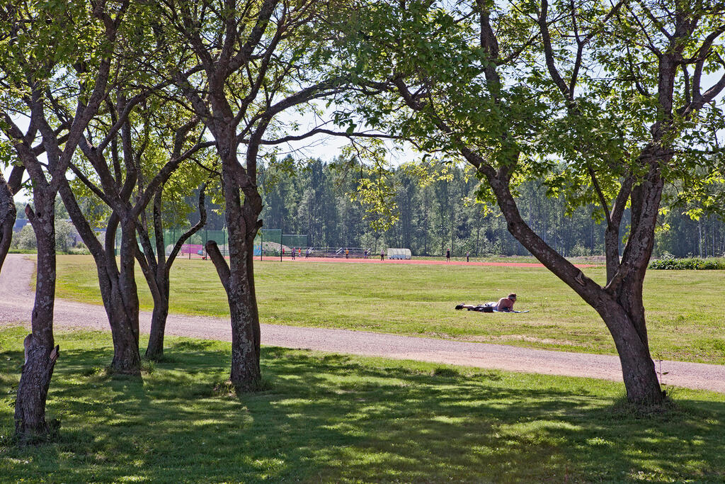 Henkilö makaamassa auringossa alakivenpuiston nurmialueella.