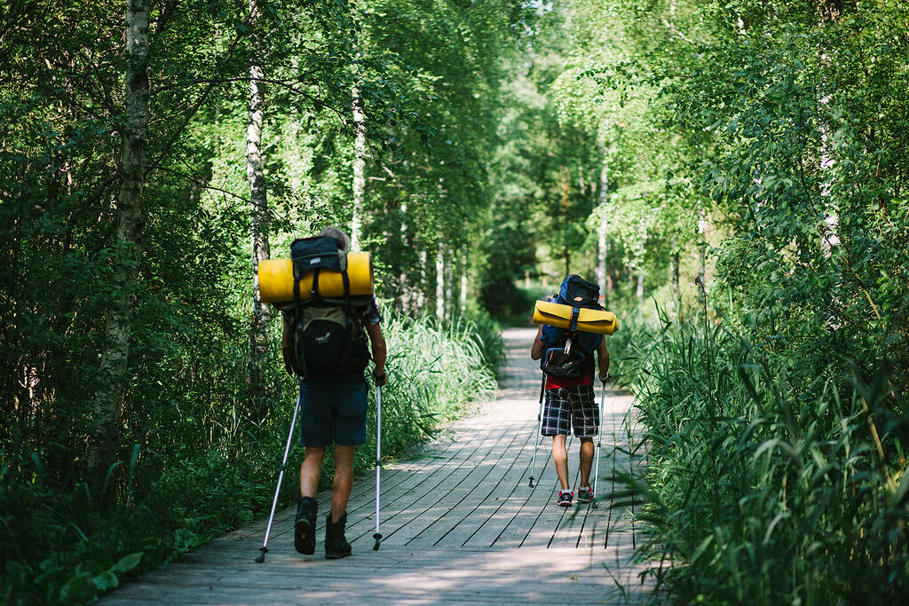 Kaksi henkilöä kulkemassa metsätiellä rinkat selässä.