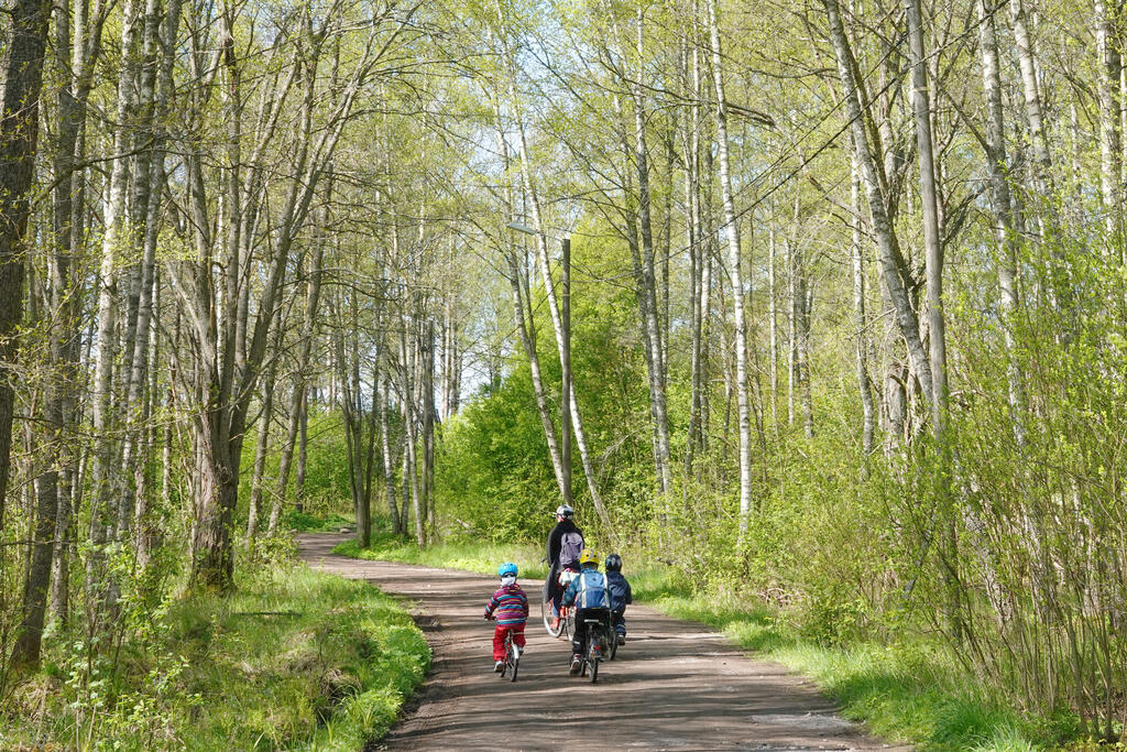 Aikuinen ja lapset pyöräilevät ulkoilureitillä