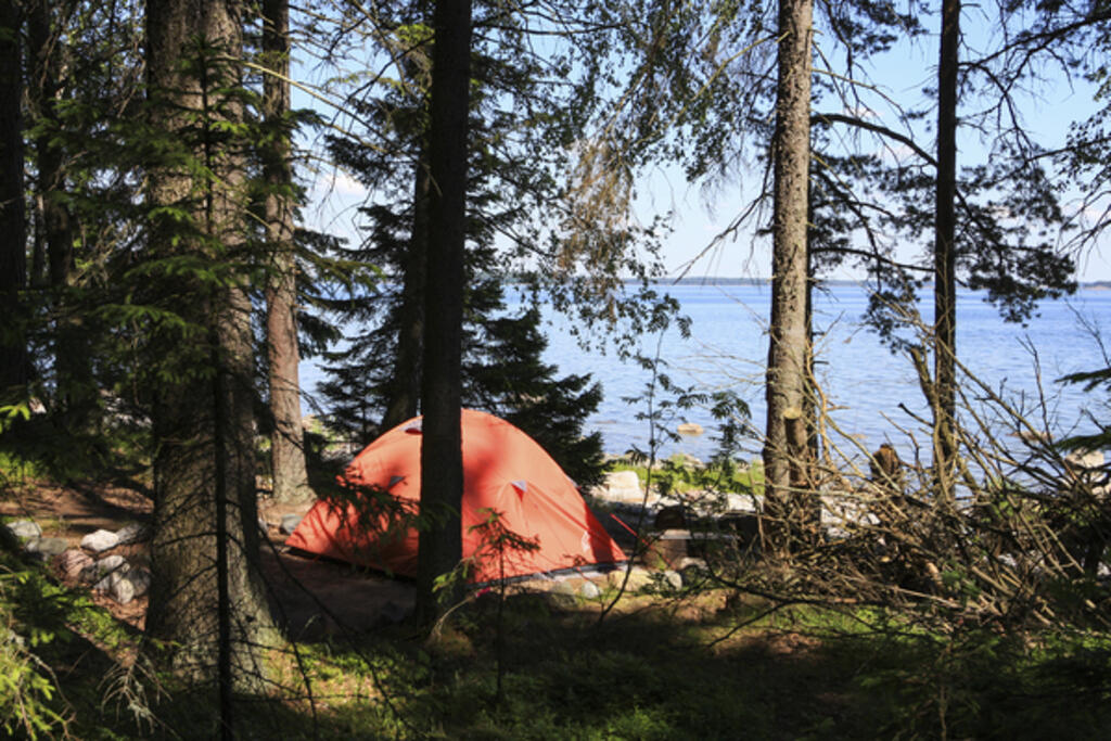 Punainen teltta kaunissaaren rantametsikössä.