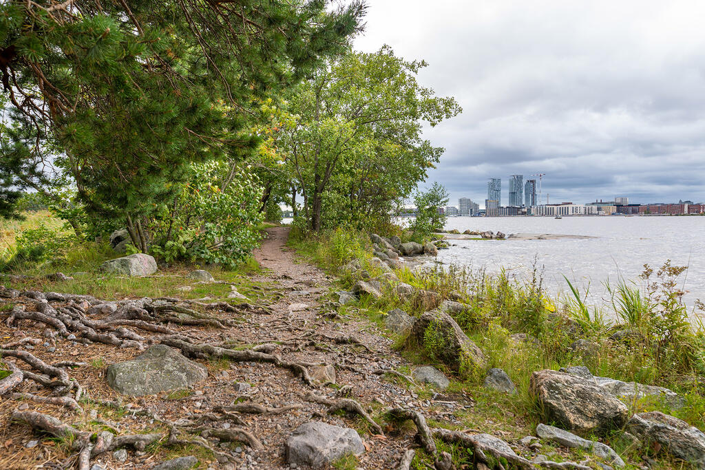 Juurakkoinen polku meren äärellä, taustalla Kalasataman tornitalot