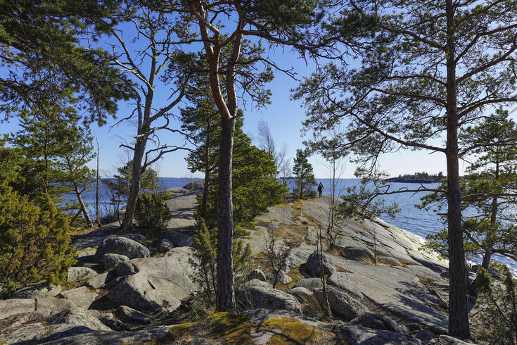 Ulkoilijat kävelevät Skatanniemen kalliolla. Taustalla aukeaa meri.