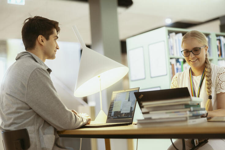 Ympäristötarkastaja