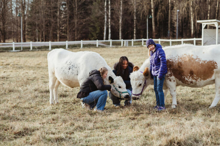 Alan opiskelija/nuoriso-ohjaaja, Fallkullan kotieläintila