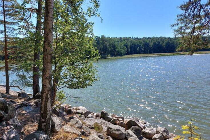 Metsänhoitotyöntekijä, luonnonsuojelualueiden kunnossapito