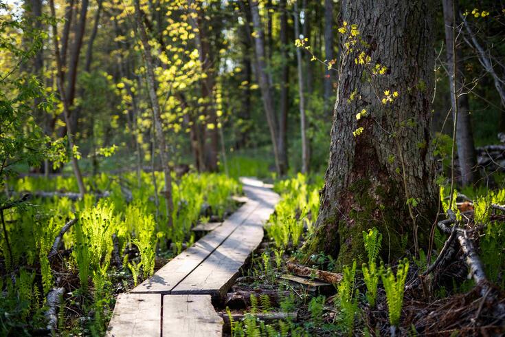 Ympäristöasiantuntija