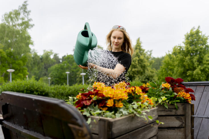 Liikuntapaikkatyöntekijä, Lähiliikuntatiimi