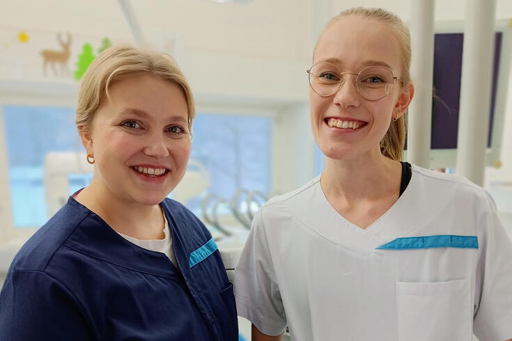 Terveyskeskushammaslääkäri, Suun terveydenhuolto