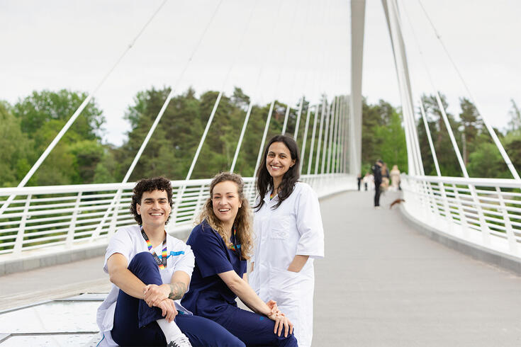 Apulaisosastonhoitaja, Mielialahäiriöpalveluiden Päiväyksikkö