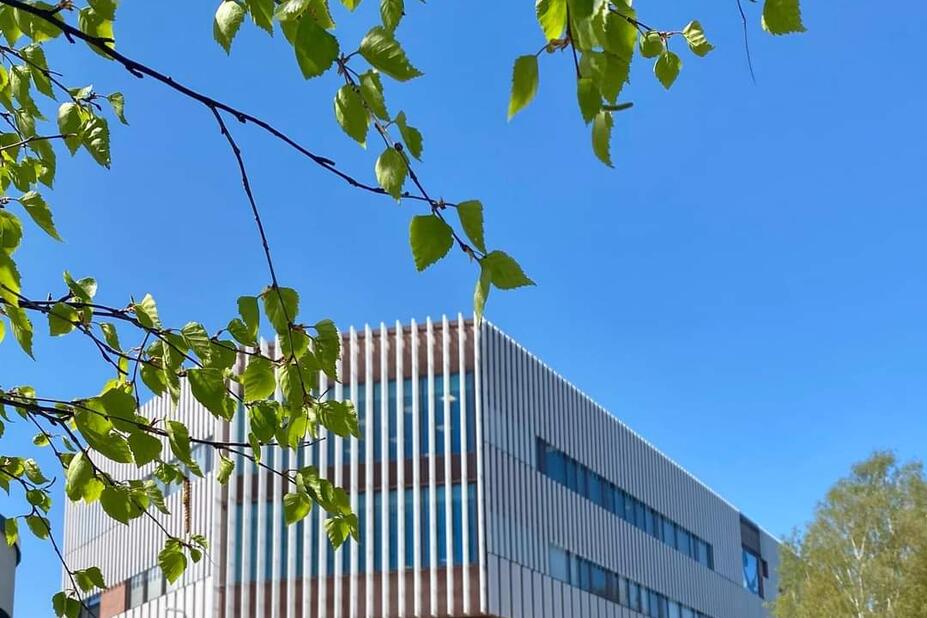 Spring at the Helsinki Upper Secondary School of Languages