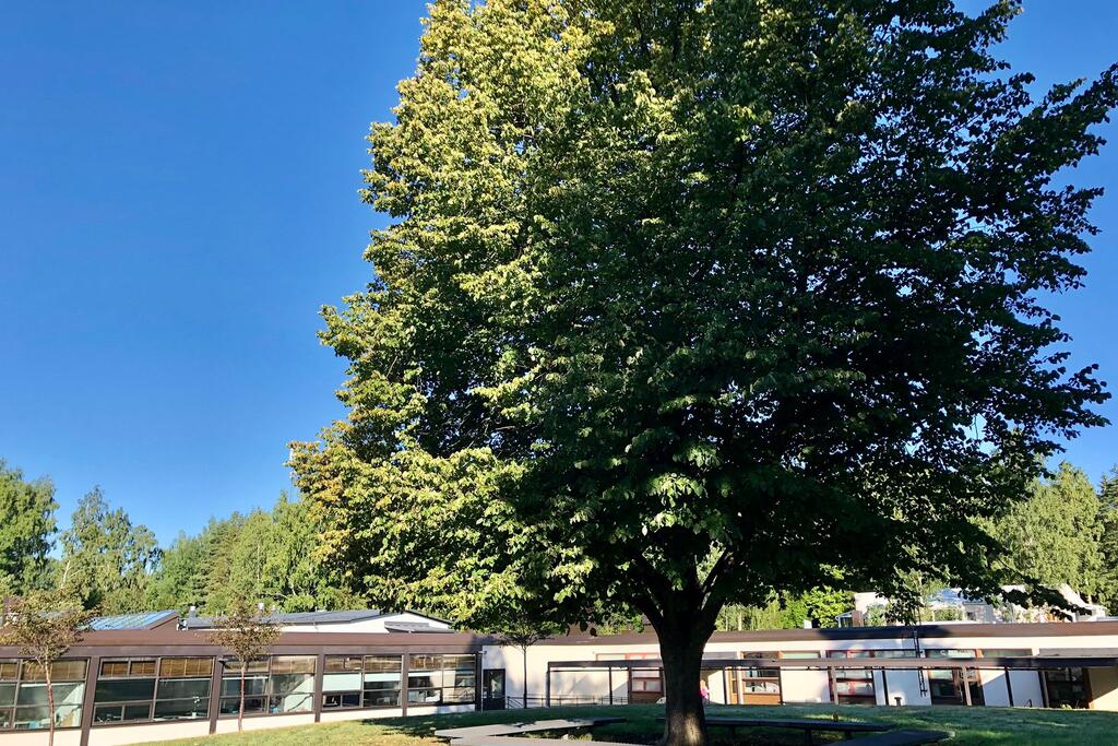 Botby Grundskola Helsingin Kaupunki Botby Grundskola Helsingin Kaupunki