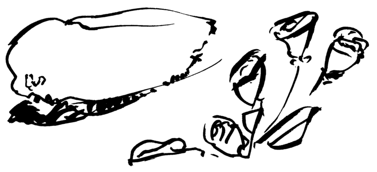 Tussipiirros ylioppilaslakista ja ruusuista.