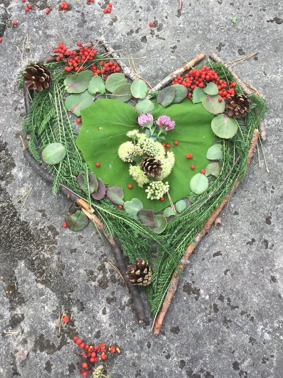 Hjärta av växter Bild: Marie Lehtonen