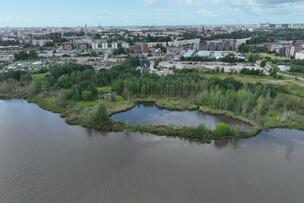 Luonnontilainen puisto lahden rannalla.