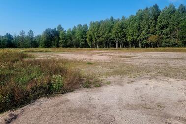 Suuren ja tyhjän hiekkakentän reunalla kasvaa metsää.