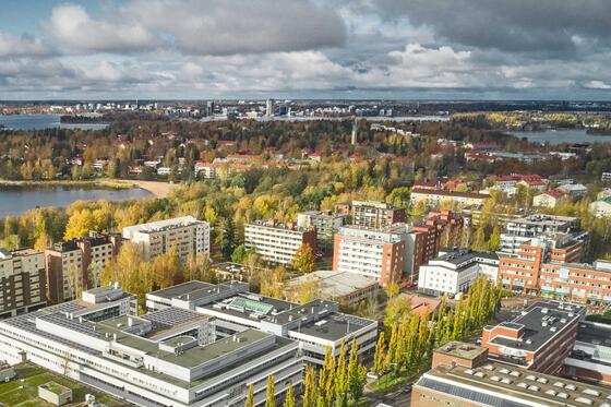 Ilmakuva Lauttasaaresta