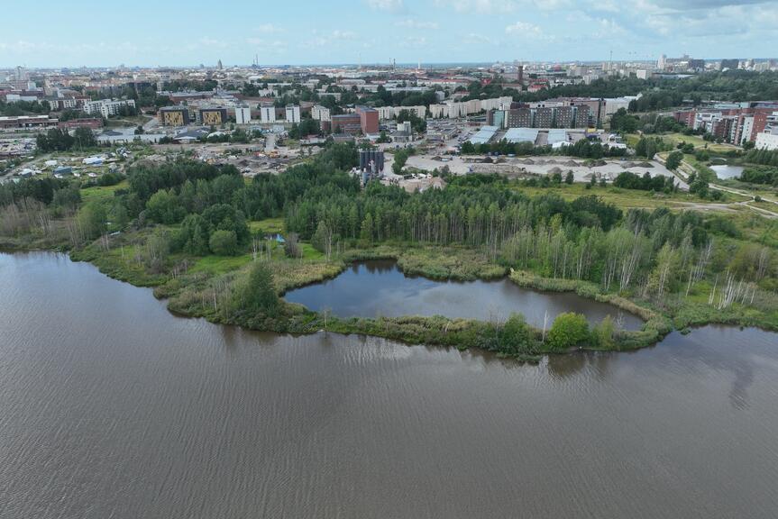 Luonnontilainen puisto lahden rannalla.