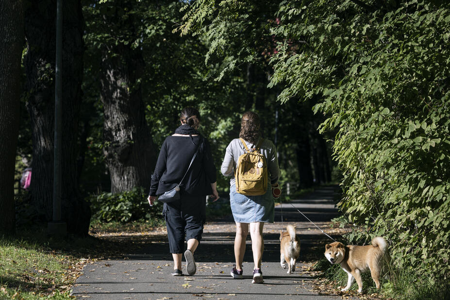 Kaksi ihmistä ulkoiluttaa koiria