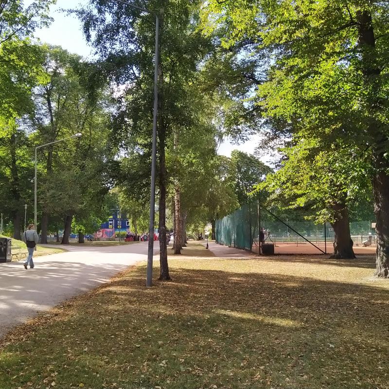 Näkymä Kaisaniemenpuistoon.