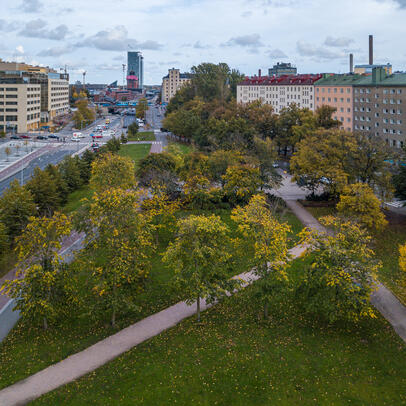 Ilmakuva Dallapénpuistosta