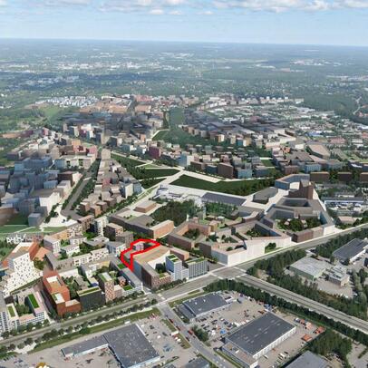 Nallenrinteen havainnekuva