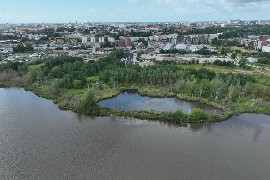 Luonnontilainen puisto lahden rannalla.