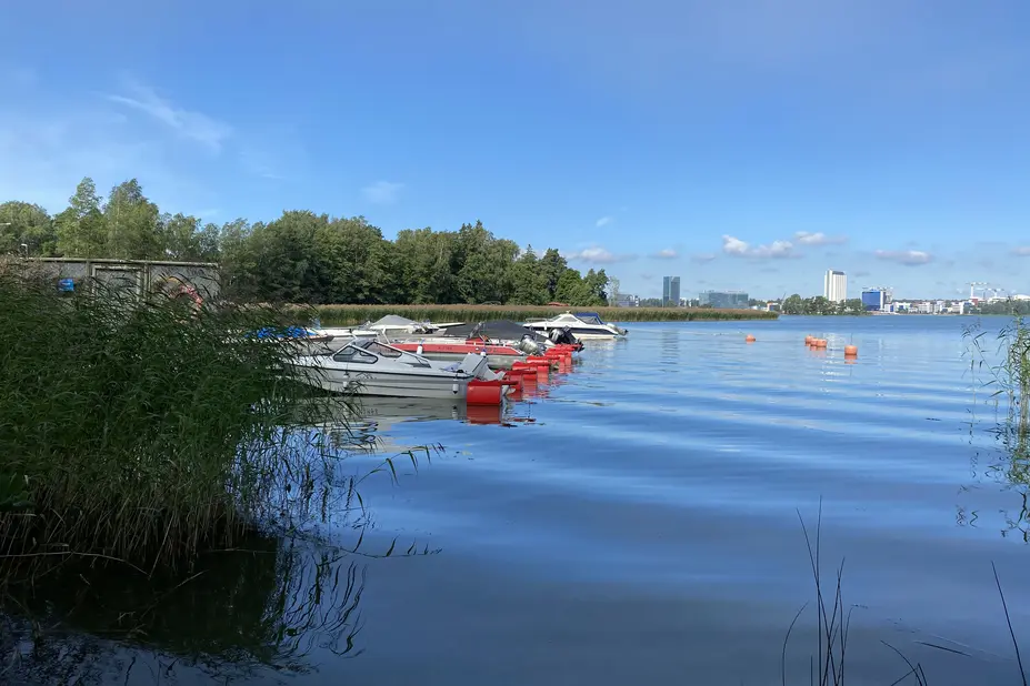 Koivusaari Lauttasaaresta päin