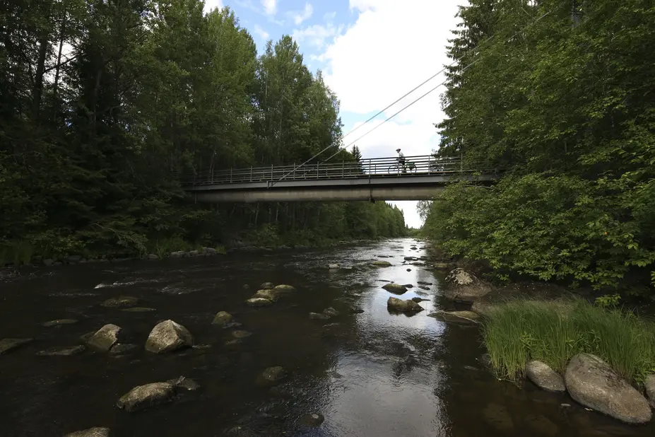 Kuninkaantammi Vantaanjoki