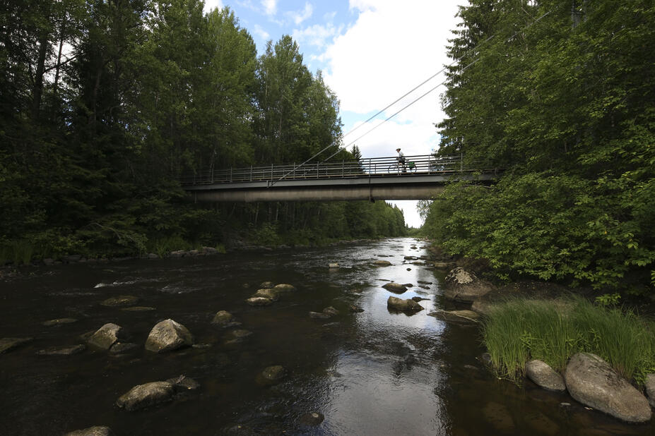 Kuninkaantammi Vantaanjoki