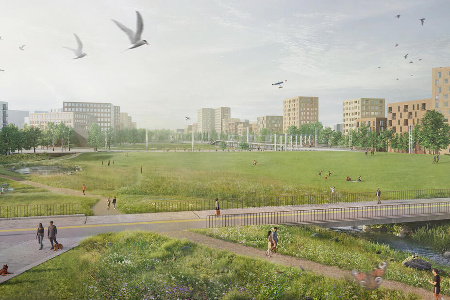 Nallenrinne havainnekuva
