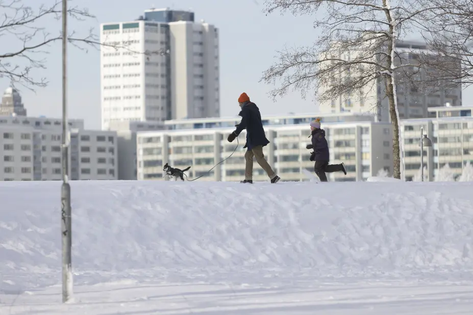 Koiranulkoiluttajia talvella