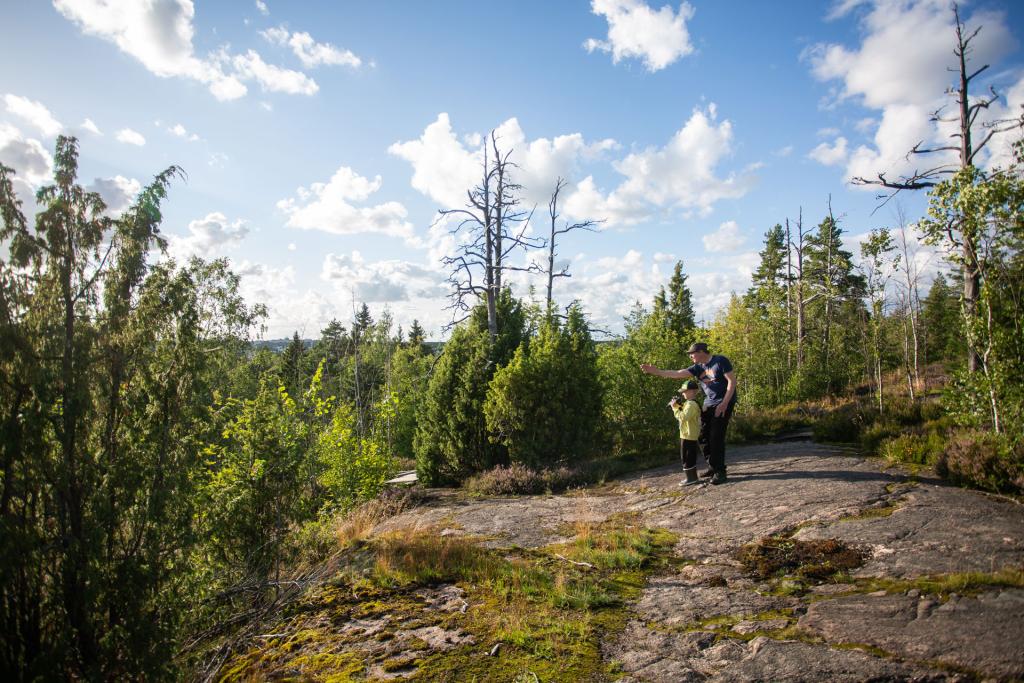 Näkymä Hallainvuorelle.