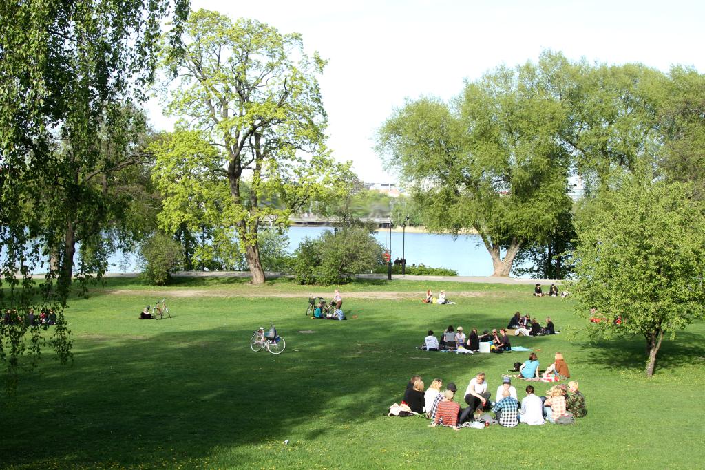 Ihmiset istuvat ryhmittäin puiston nurmikolla. Taustalla näkyy merenlahti ja isoja puita.