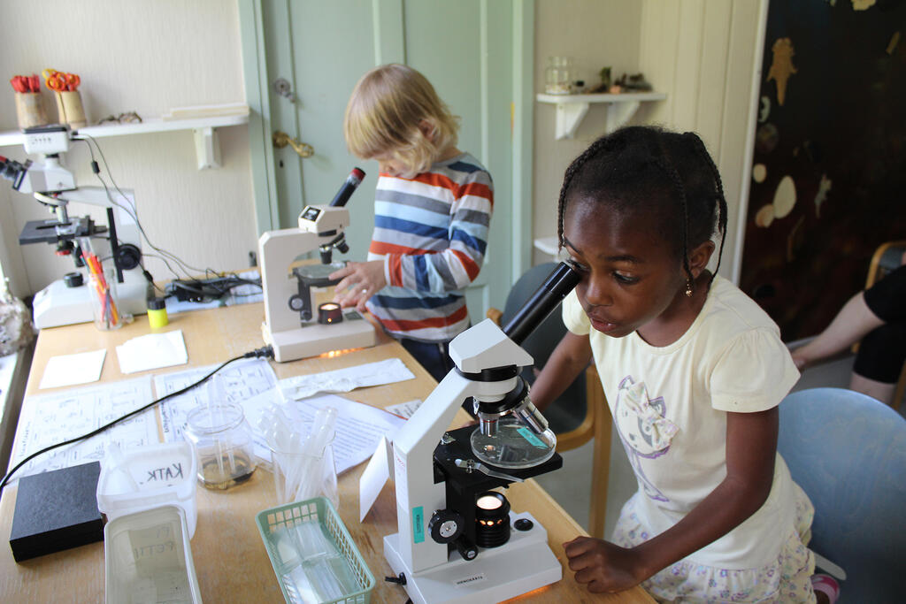 Lapset tutkivat vesinäytteitä mikroskoopeilla