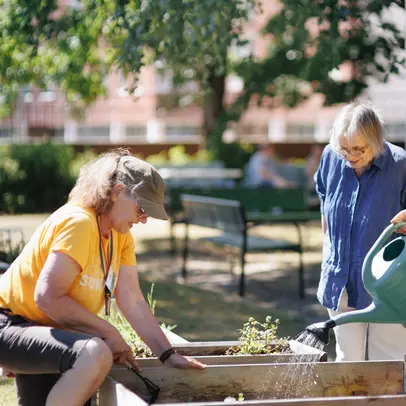 Three people are taking care of a garden together.