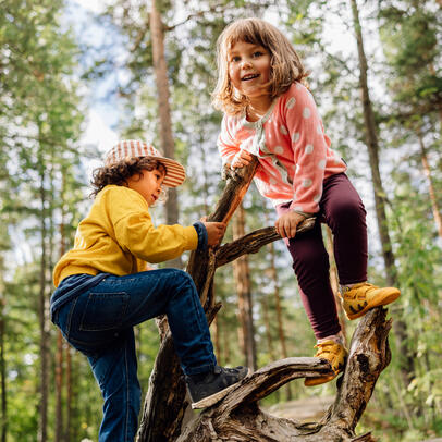 Kaksi lasta kiipeilee puissa.