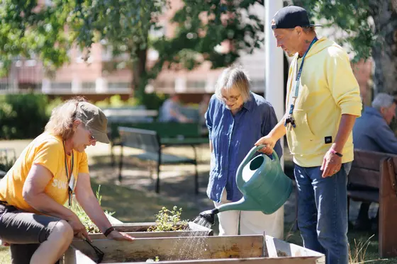 Three people are taking care of a garden together.