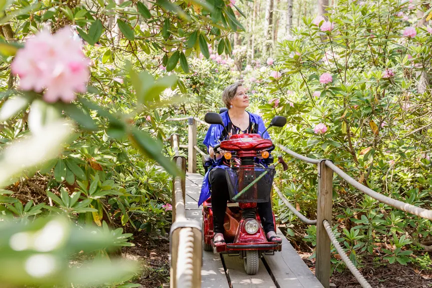 En person som beundrar blomningen i Rhododendronparken medan hen rör sig med en elskoter.